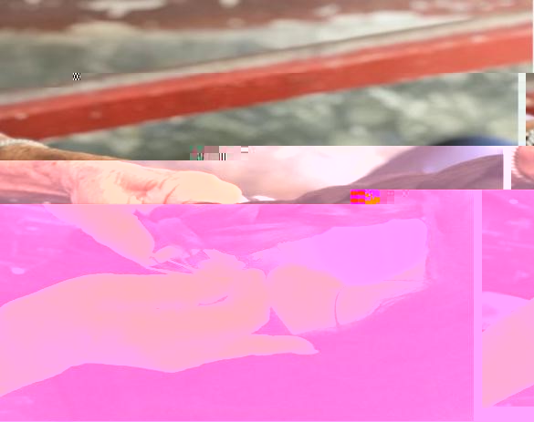 9869 9869