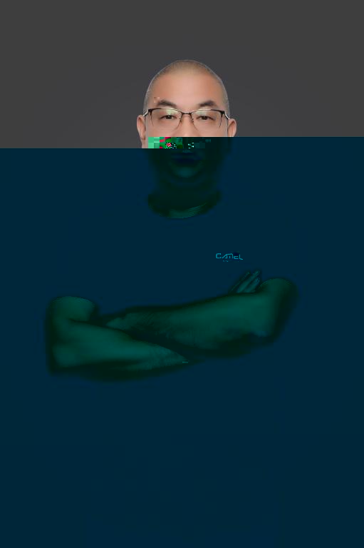 493E 493E